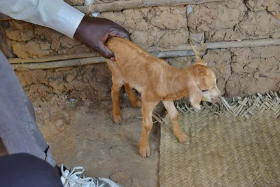 DSC_5352 (Large).JPG